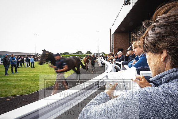 Goffs UK PY24-89