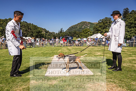 Rydal Hound Show 2022-27