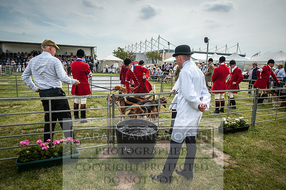 PFoH 2016-150