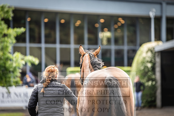 Goffs Land Rover Sale 2022-68