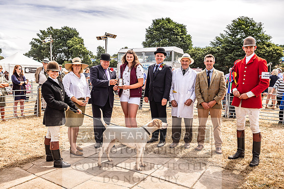 Honiton Hound Show 2022-144