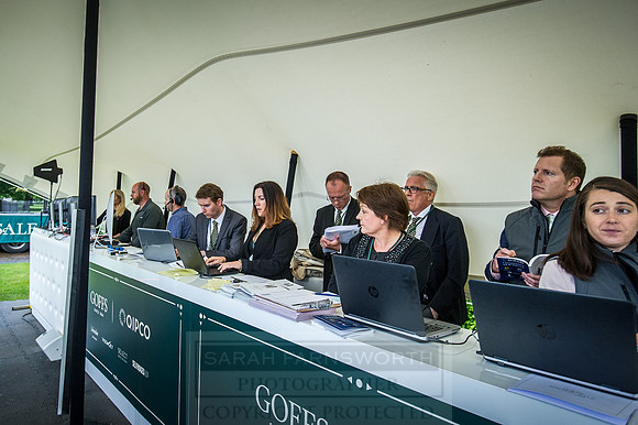 Goffs London Sale 2016-460