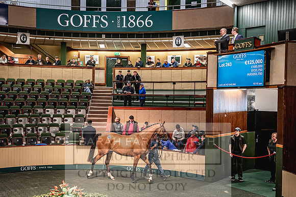 Goffs Land Rover Sale 2022-564
