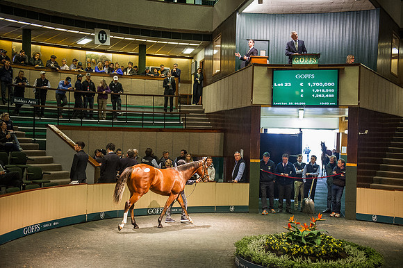 Goffs Orby 2015 -251