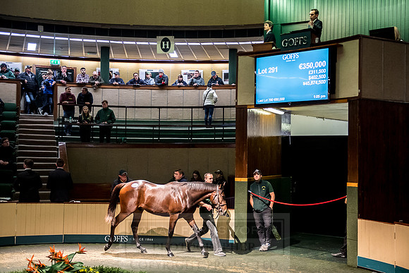 Goffs Orby 2018 Day 2-115