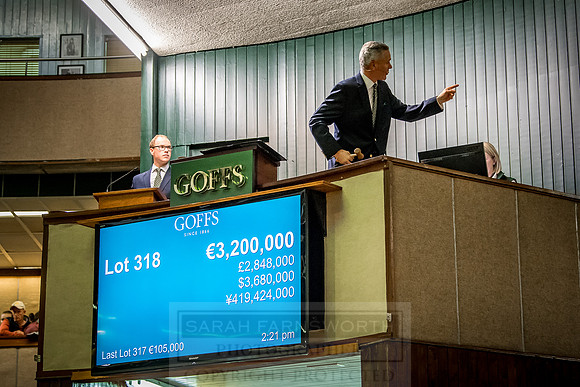 Goffs Orby 2018 Day 2-186