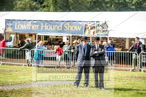 Lowther Hound Show 2017-102