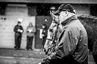 GNS16-18