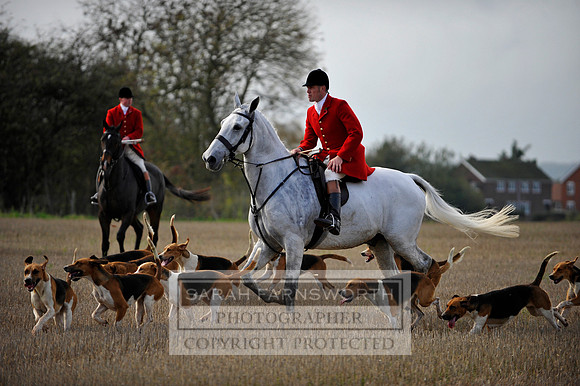 Brocklesby 021113 CF3 687