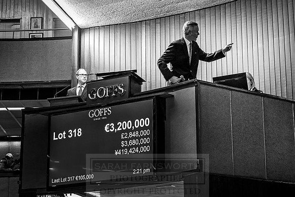 Goffs Orby 2018 Day 2-185