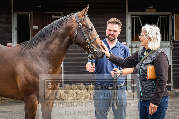 Goffs UK PY24-461