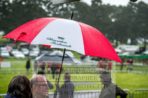 Lowther Hound Show 2017-8