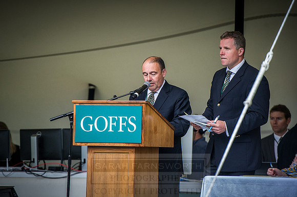 Goffs London Sale 2016-360