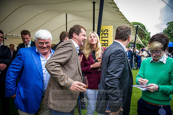 Goffs London Sale 2016-294