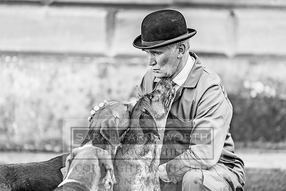Baron Von Pfetten Puppy Show 02.09.18-167