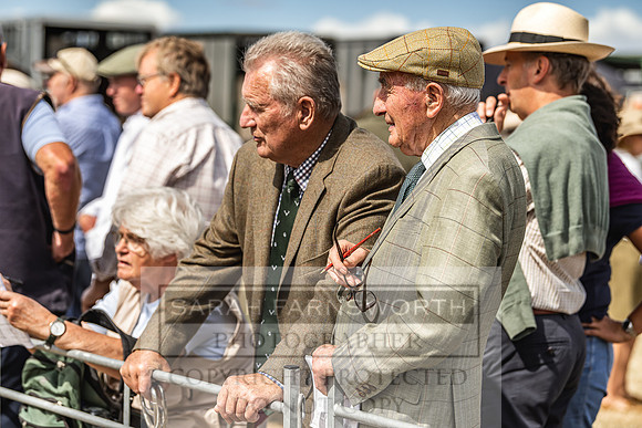 Honiton Hound Show 2022-93