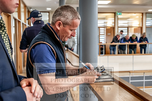 Goffs UK Spring Sale 2024-120