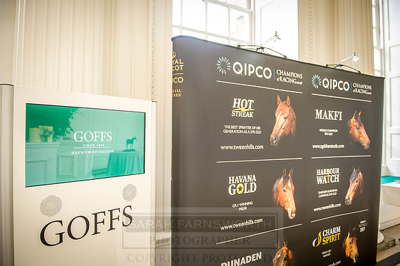 Goffs London Sale 2016-258