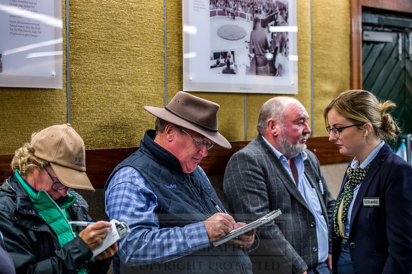 Goffs Orby 2018 Day 1-200