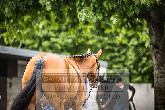 Goffs Land Rover Sale 2022-327