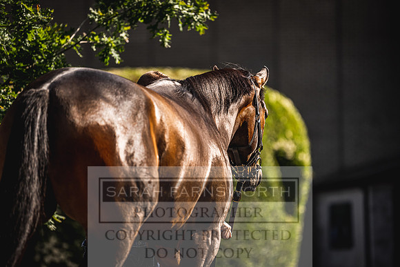 Goffs Land Rover Sale 2022-142