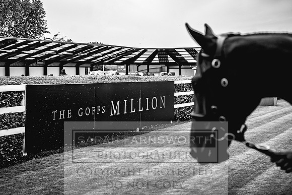 Goffs Orby 2022 Day 1-83