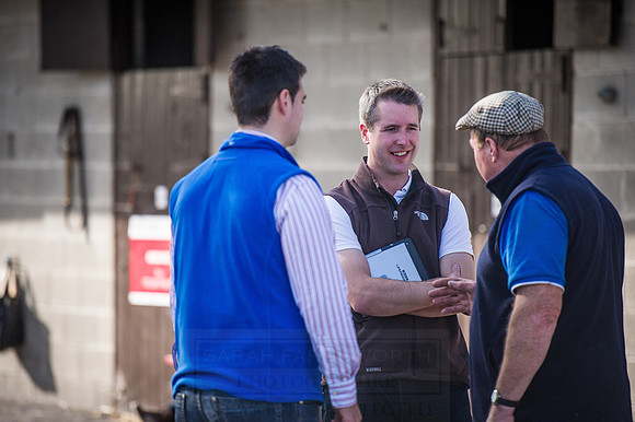 Goffs Orby 2015 -416