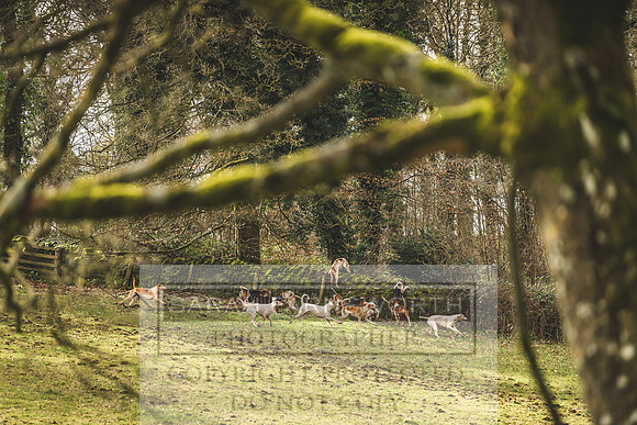 Thurlow at Heythrop 130319-331