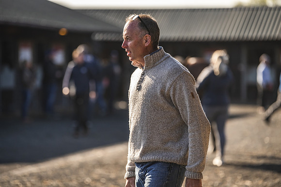 Goffs UK Breeze Up 2022-53