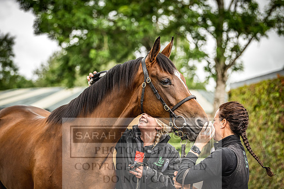 Goffs Land Rover Sale 2022-537