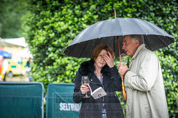 Goffs London Sale 2016-334