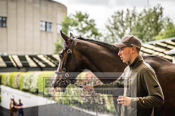 Goffs Land Rover Sale 2022-579