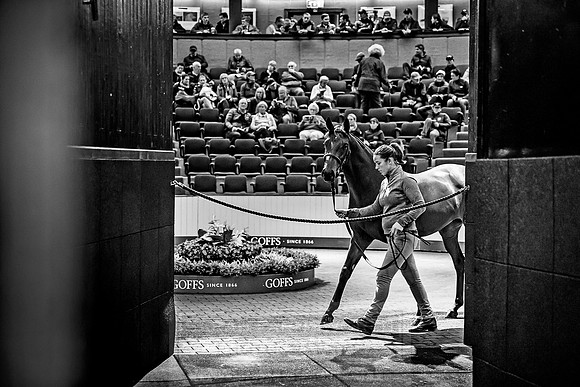 Goffs Orby 2018 Day 1-185
