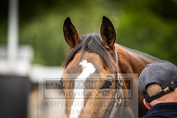 Goffs Land Rover Sale 2022-187