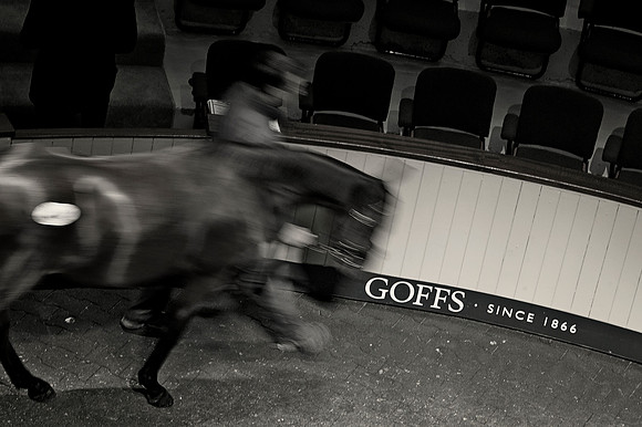 Goffs Orby14 CF5 164 bw