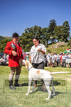 Rydal Hound Show 2022-129