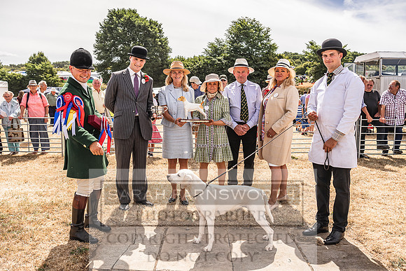 Honiton Hound Show 2022-120