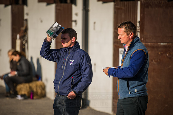 Goffs Orby 2015 -490