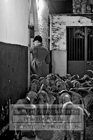 Brocklesby 021113 CF3 1669 bw