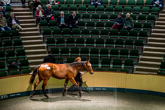Goffs Orby 2018 Day 1-142