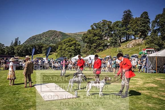 Rydal Hound Show 2022-107