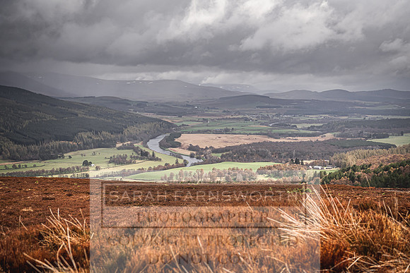 Purdey AW21 Recce Day-24
