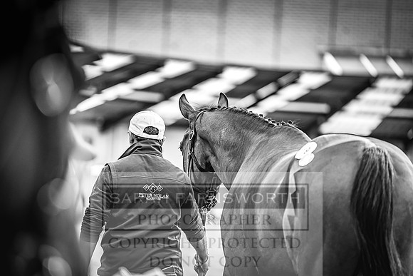 Goffs Land Rover Sale 2022-191