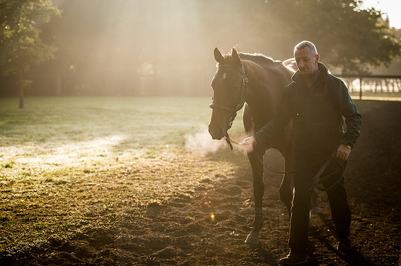 Goffs Orby 2015 -480