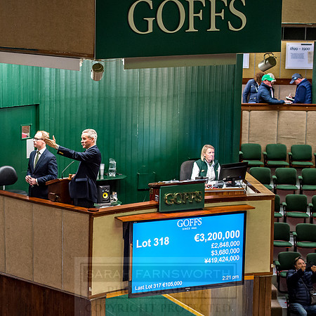 Goffs Orby 2018 Day 2-183