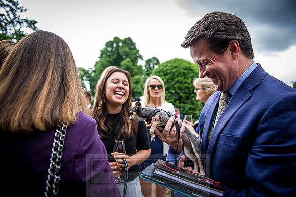 Goffs London Sale 2016-185