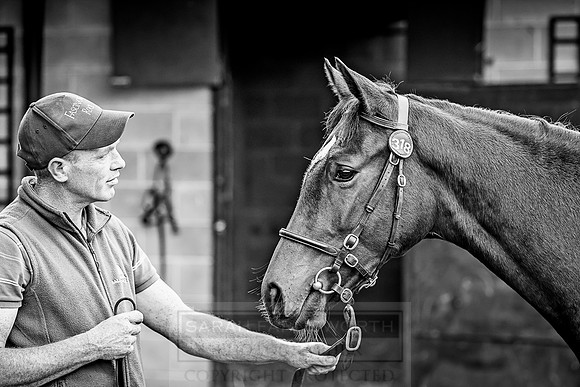 Goffs Orby 2018 Day 2-87