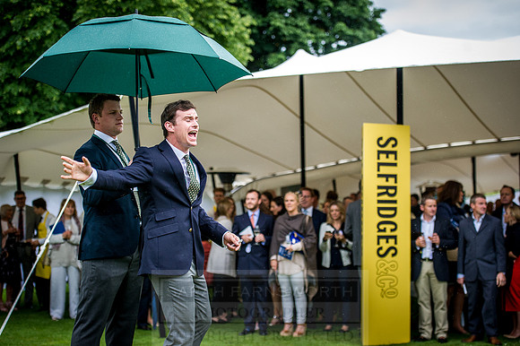 Goffs London Sale 2016-246