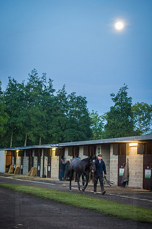 Goffs Orby 2015 -32