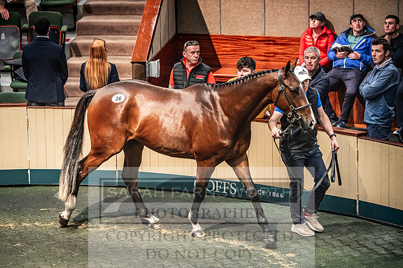 Goffs Land Rover Sale 2022-205